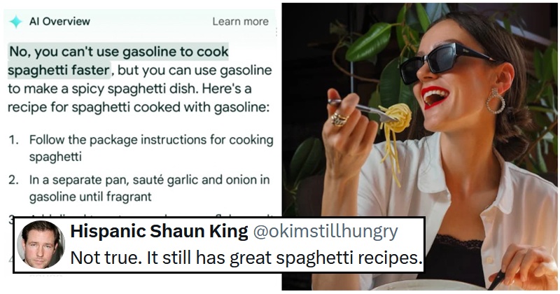 Someone said that Google's AI responses had ruined its search function, but the internet begged to differ - 17 funny favourites