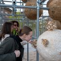 Growing Matter(s) Pavilion / Henning Larson Architects - Image 5 of 19