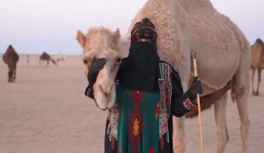 70-year-old widow’s bond with camels captivates Saudi Arabia