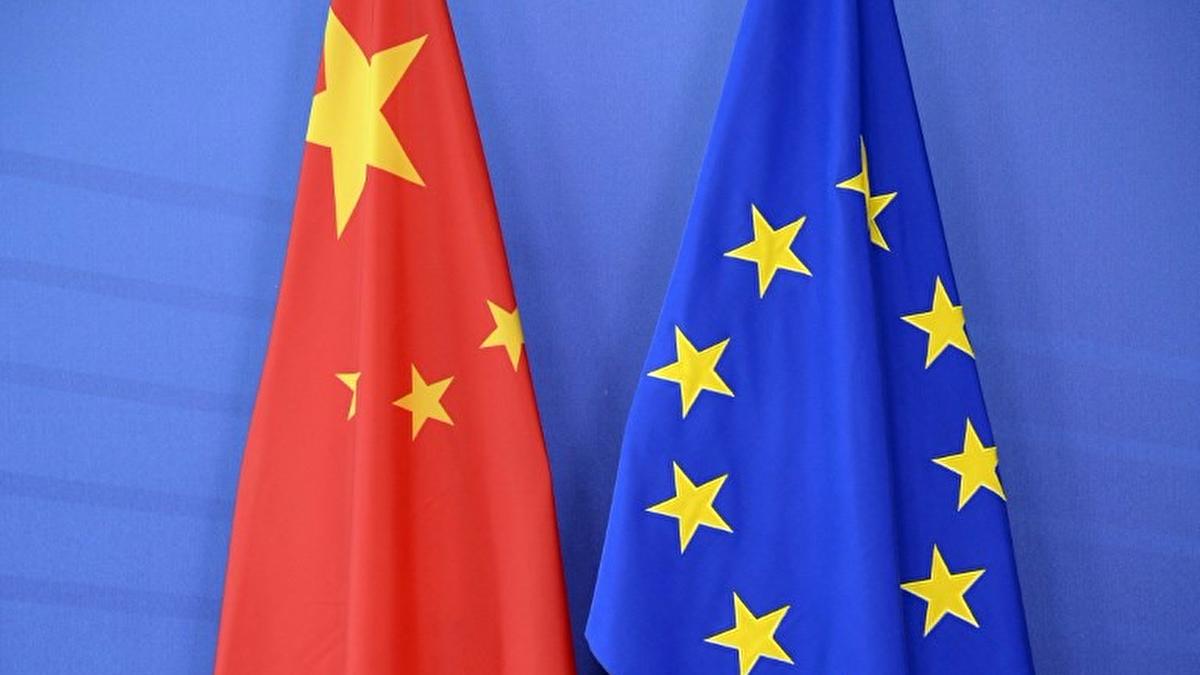 China and EU partners, not rivals, diplomat says