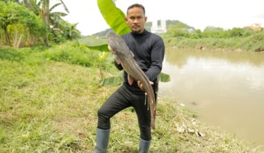 Malaysia’s ‘fish hunters’ target invasive species, one catch at a time | Environment News