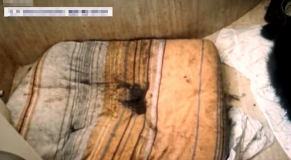Soiled mattress in a neglected room.