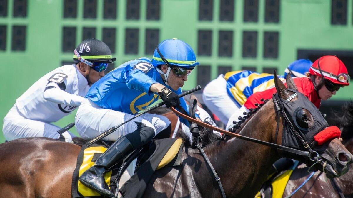 Preakness Stakes 2025 picks, odds: Sovereignty, Clever Again, Journalism predictions by horse racing expert