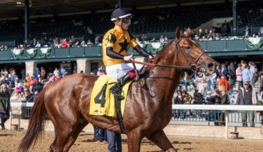 Best horse racing betting apps, where to bet: Reviewing top sites for Kentucky Derby betting in 2025