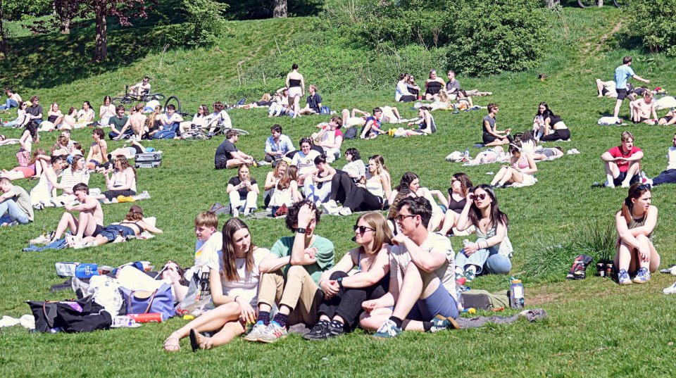 Large group of people relaxing on a grassy area in a park on a sunny day.