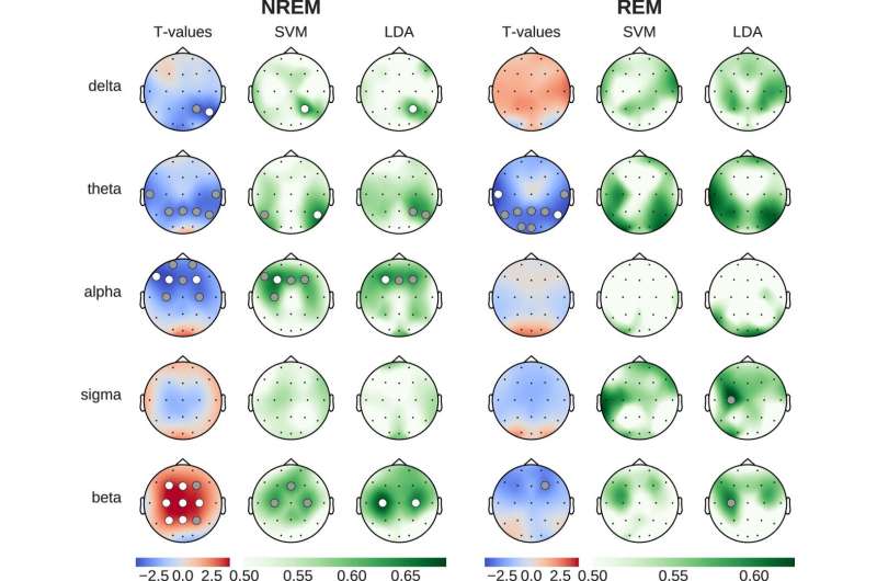 How does coffee affect a sleeping brain?