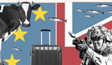 Montage shows a cow, a suitcase, a soldier and a shoal of fish against the EU and UK flags