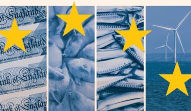 Montage shows pound notes, pigs, fish and a wind farm in the colours of the EU flag