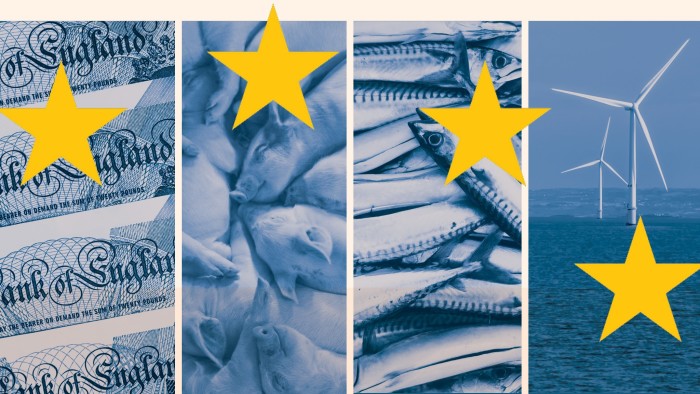 Montage shows pound notes, pigs, fish and a wind farm in the colours of the EU flag