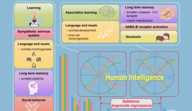 The cis-regulatory element frequency (CREF) matrix that represent the transcriptional regulation and the saltation from apes to human