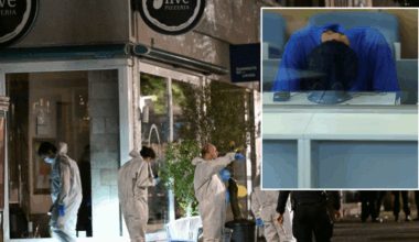 Asylum seeker who killed three people and wounded 10 others in horrific knife attack at 'festival of diversity' pleads guilty