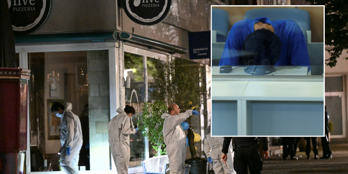 Asylum seeker who killed three people and wounded 10 others in horrific knife attack at 'festival of diversity' pleads guilty