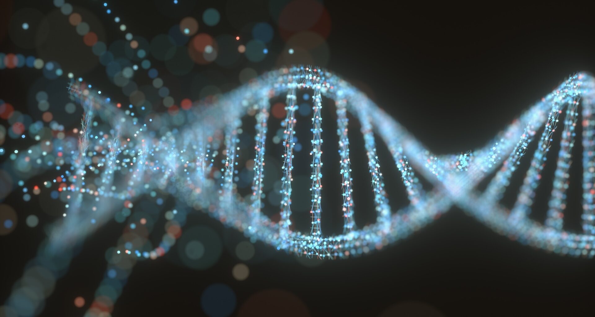 an illustration of DNA