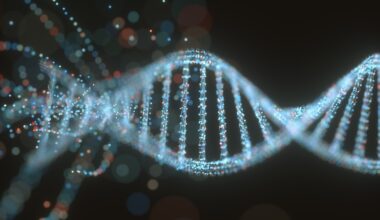 an illustration of DNA