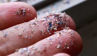 Scientists fear Britain’s entire food chain contaminated as study finds microplastics in bugs