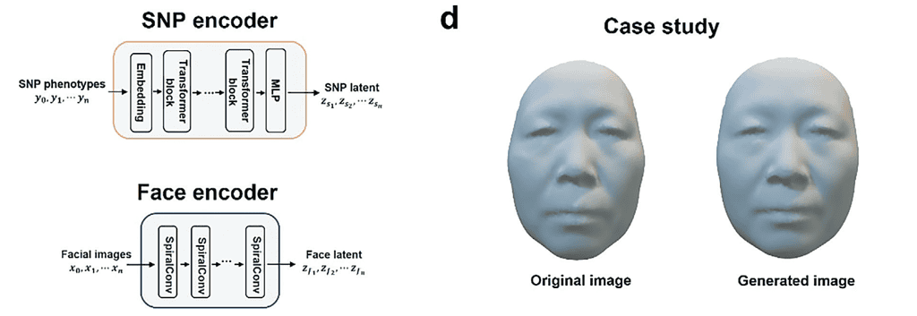 Faces generated by Difface from DNA