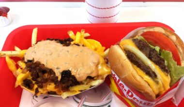 Yelp unveils top 25 burger chains in US: See the full list