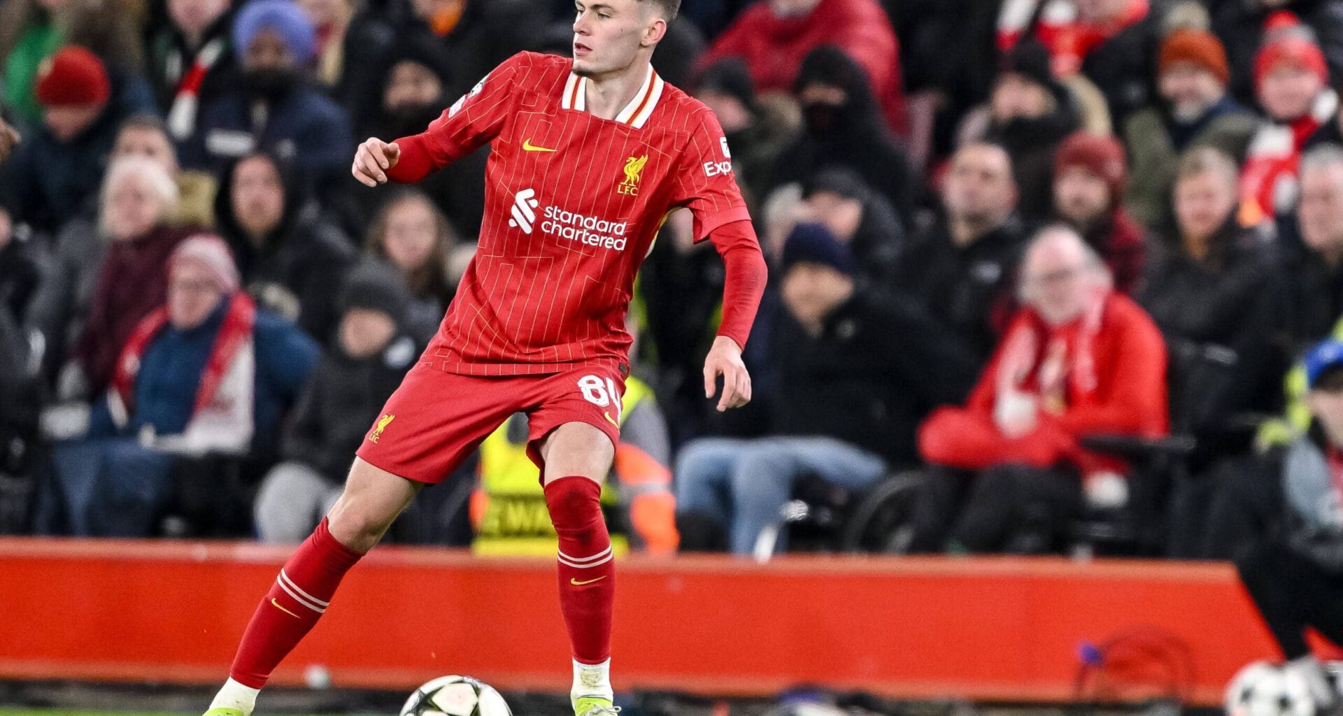 “He can’t defend to save his life” – Bradley analysed after Brighton loss