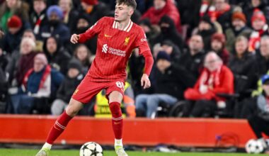“He can’t defend to save his life” – Bradley analysed after Brighton loss