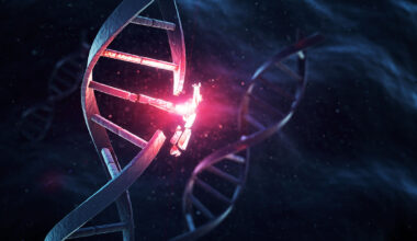 The Genetic Cause of a Rare, Neurodevelopmental Disorder