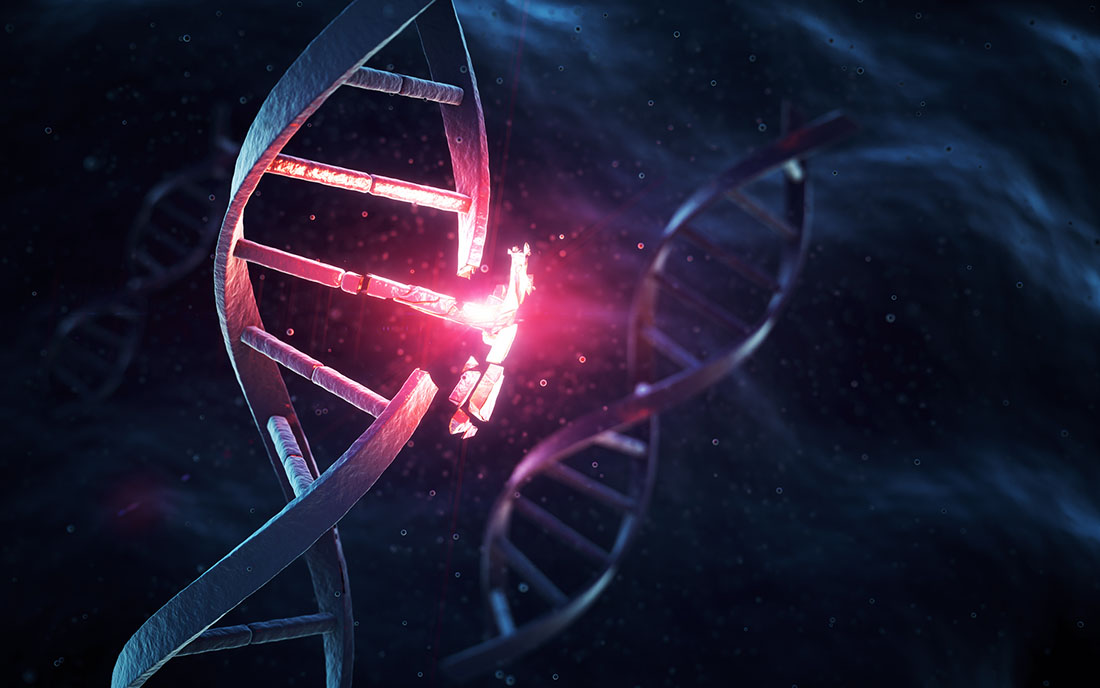 The Genetic Cause of a Rare, Neurodevelopmental Disorder