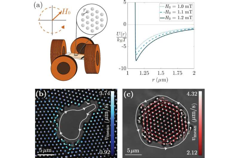 Invisible currents at the edge: Rice University research team shows how magnetic particles reveal a hidden rule of nature