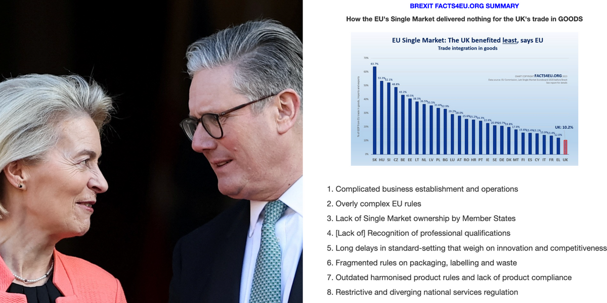 Keir Starmer's 'Brexit reset' torpedoed as EU's OWN bombshell report exposes project's 'Terrible Ten' flaws