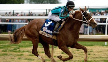 Preakness Stakes 2025 odds, picks: Sovereignty, Journalism, Clever Again predictions from horse racing expert