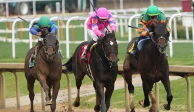 Preakness Stakes 2025 odds, picks: Sovereignty, Clever Again, Journalism predictions by horse racing expert