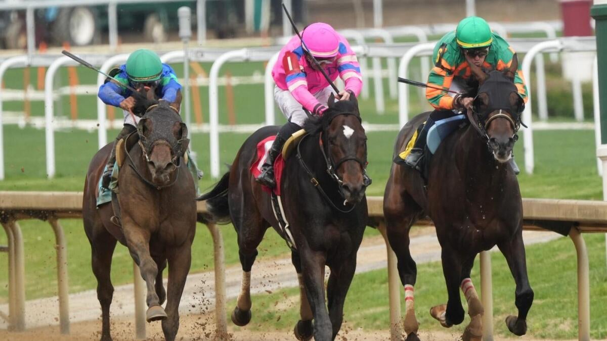 Preakness Stakes 2025 odds, picks: Sovereignty, Clever Again, Journalism predictions by horse racing expert