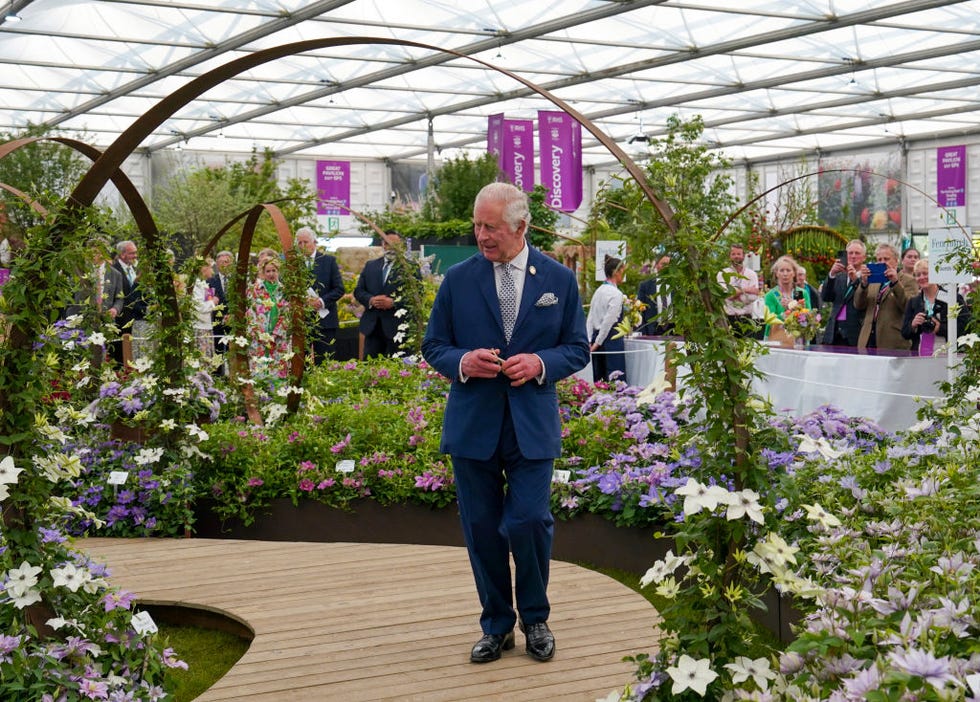 london, england may 22: britains king charles iii visits the raymond evison clematis stand at the chelsea flower show, at the royal hospital chelsea on may 22, 2023 in london, england. the chelsea flower show, also known as the great spring show, is held for five days in may by the royal horticultural society on the grounds of the royal hospital chelsea. (photo by arthur edwards wpa pool/getty images)