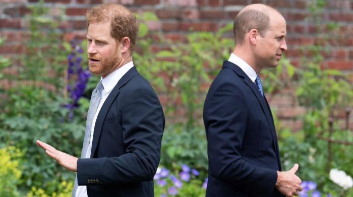 Prince William, Harry take inspiration from same key figure despite feud