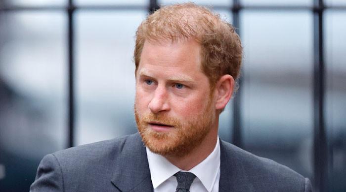 Prince Harry 'real world' has no concept of security, says expert