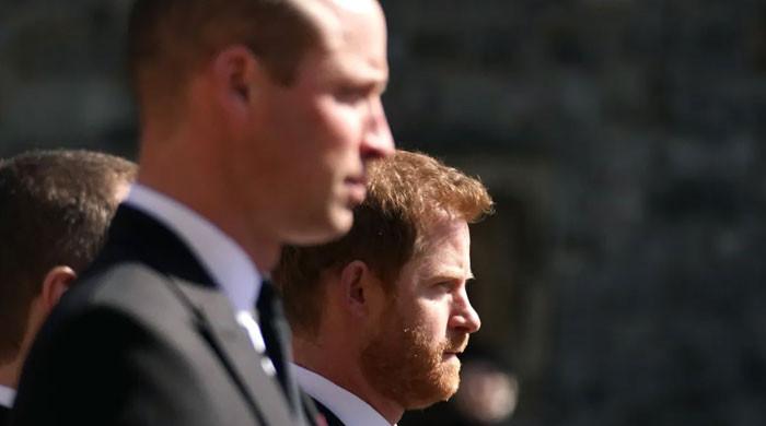Prince William's distance from Prince Harry sparks questions: ‘What really happened?'