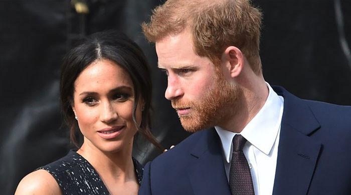 Prince Harry, Meghan given blunt reality check over by expert