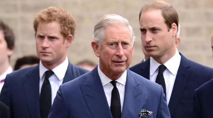 Prince Harry 'complicates' path of healing with King Charles, Prince William
