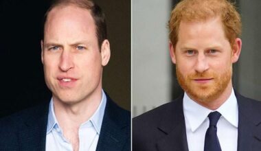 Prince Harry compared to ‘non-elitist' Prince William and Kate Mdidleton