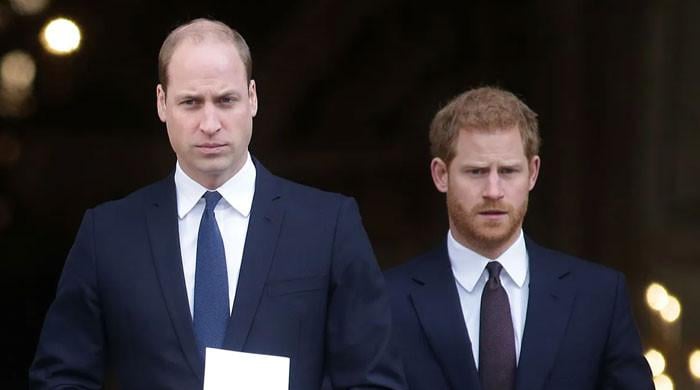 King Charles $1.3B wealth fuels tensions as William eyes Harry's intentions
