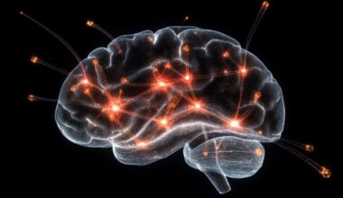 Neuroscience News logo for mobile.