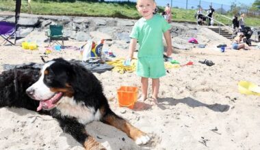 Northern Ireland weather: Met Office forecasts another week of ‘abnormally dry and sunny’ conditions