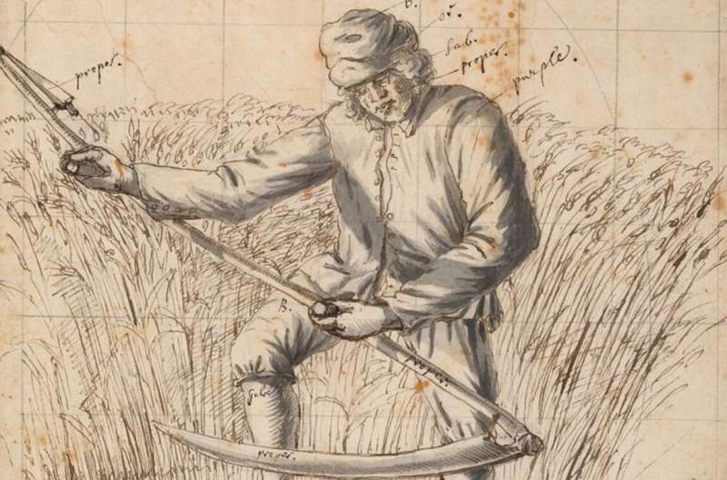 Life, death and mowing – study reveals Britain's poetic obsession with the humble lawnmower