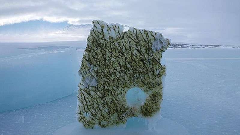 Loss of sea ice alters the colors of light in the ocean