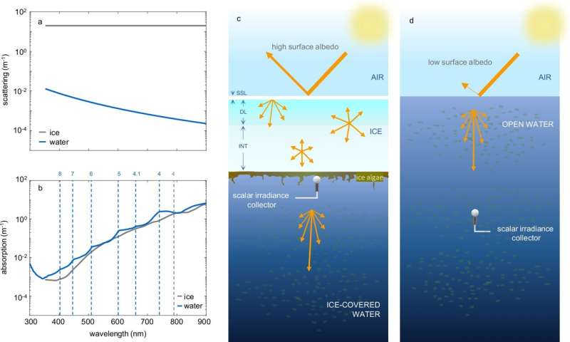 Loss of sea ice alters the colors of light in the ocean