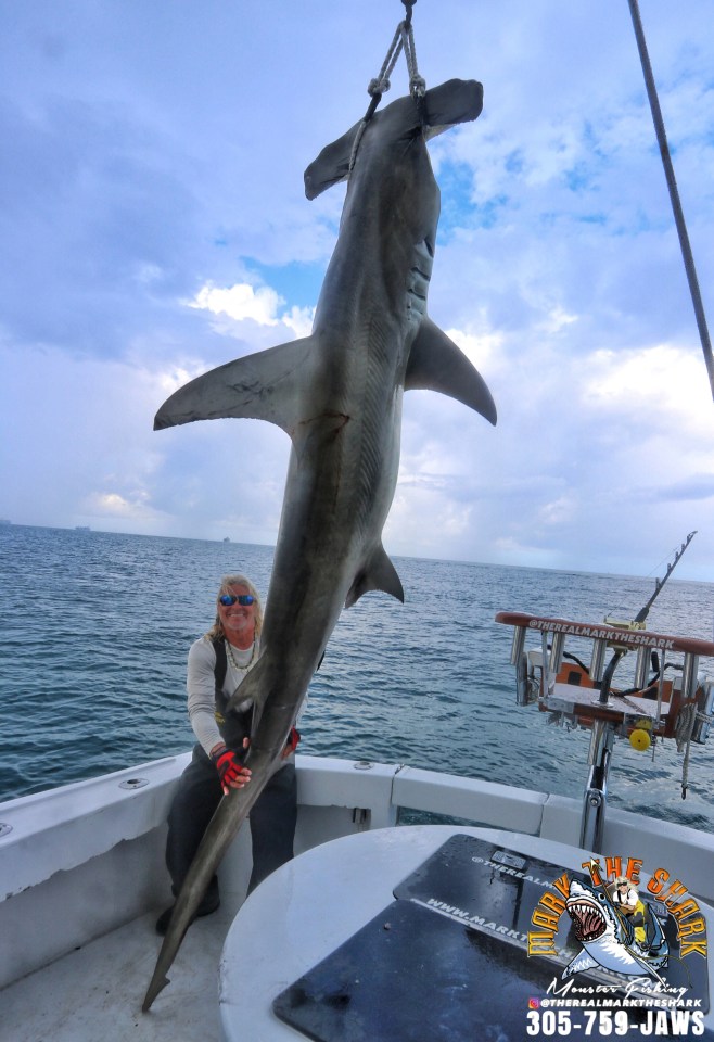 Man holding a large hammerhead shark on a boat.