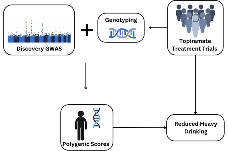 Measures of Multiple Genetic Variants Involved in Alcohol Use Disorder Hold Promise for Research and Personalized Treatment, Study Suggests