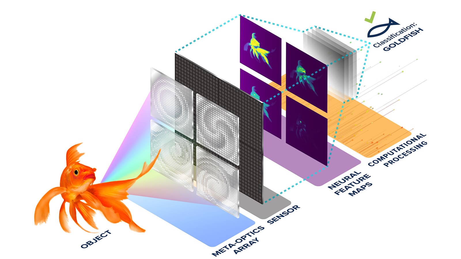 Schematic diagram showing, from left, a goldfish, a panel fo four lenses with dots and swirls, a panel of small squares, a panel of four blurred images of goldfish, several layers of gray squares, and a final cartoon drawing of a fish labeled "Classification: Goldfish".