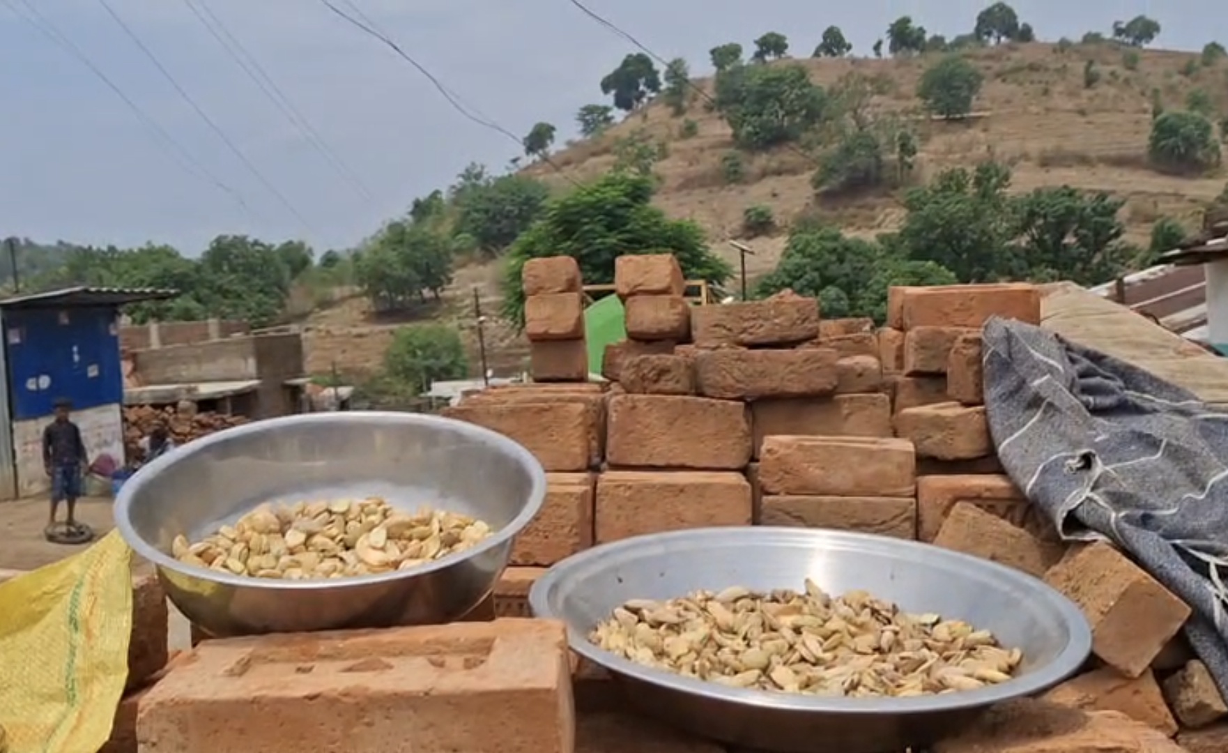 Broken Gulli shells being dried at Melghat tribal village.