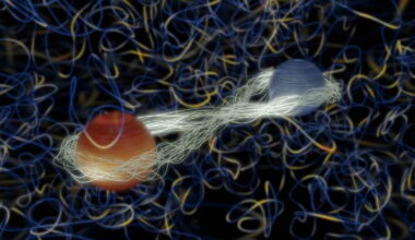 microscopic imaging