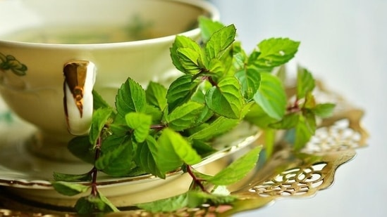 Pudina or mint not only has a cooling effect in the body, but it's also great for the skin(Pixabay)