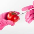A new study on GMO foods shows that the general public is becoming more positive toward the science.